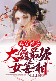 弃女逆袭:大魏最强女宰相